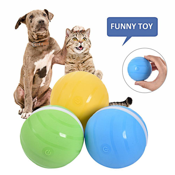 The Wicked Pets Toy Ball