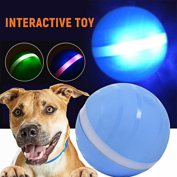 The Wicked Pets Toy Ball