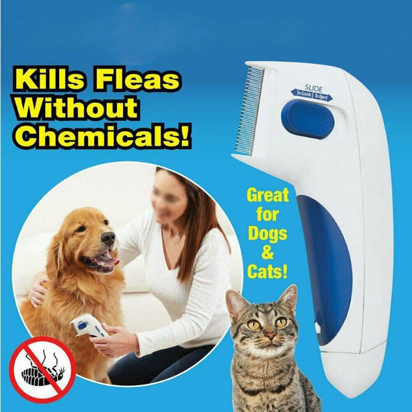 Pet Flea Doctor